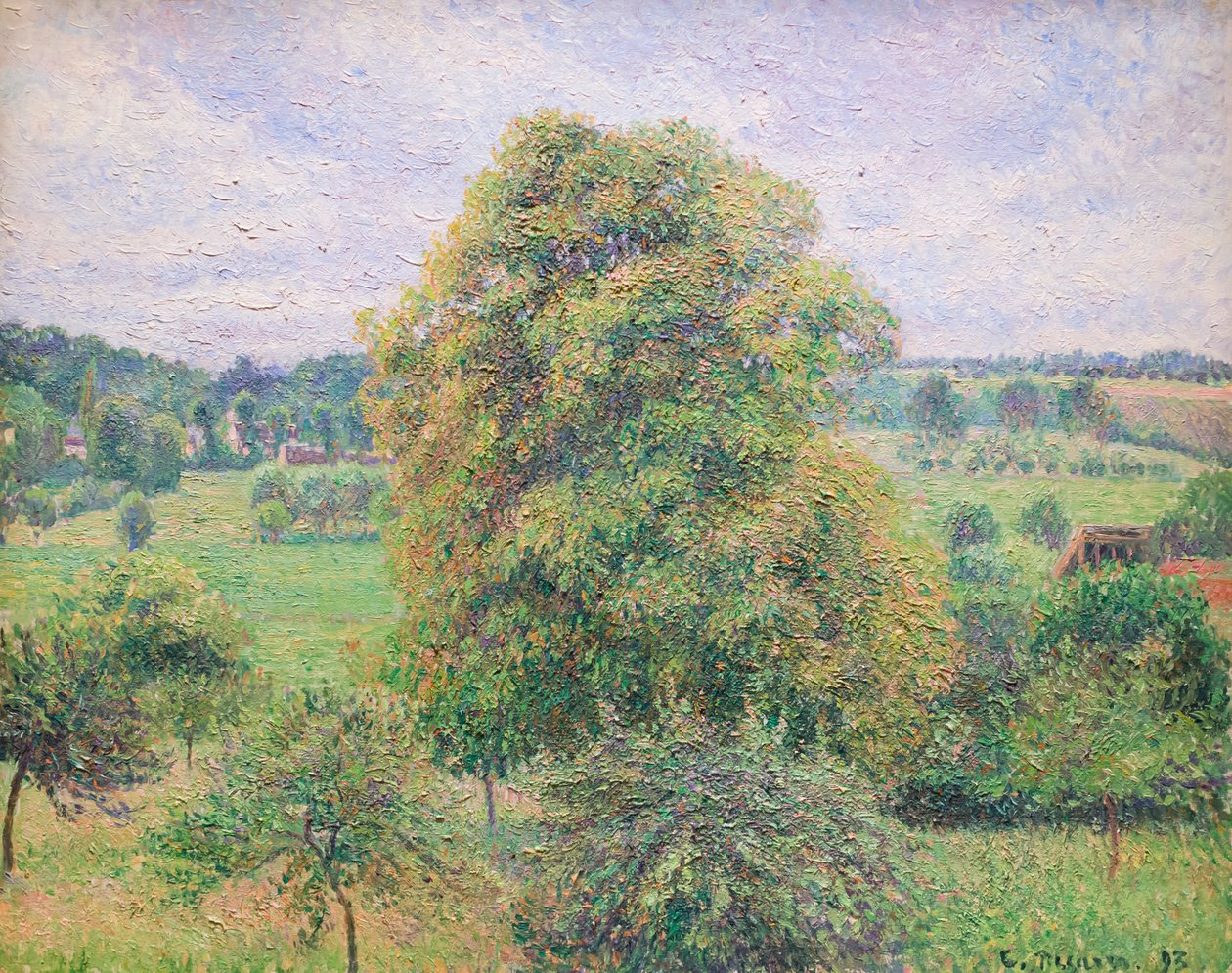Grand noyer à Éragny - Camille Pissarro