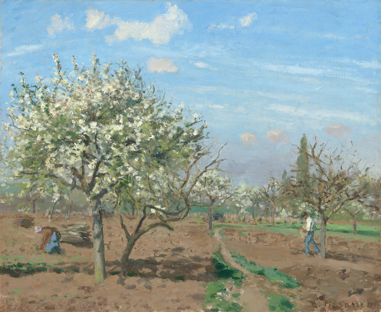 Verger en fleurs, Louveciennes - Camille Pissarro
