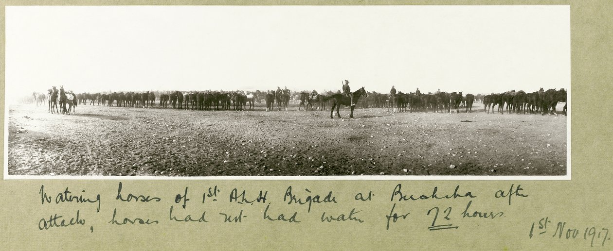 Abreuvement des chevaux de la 1ère Brigade A.L.H. à Beersheba après l