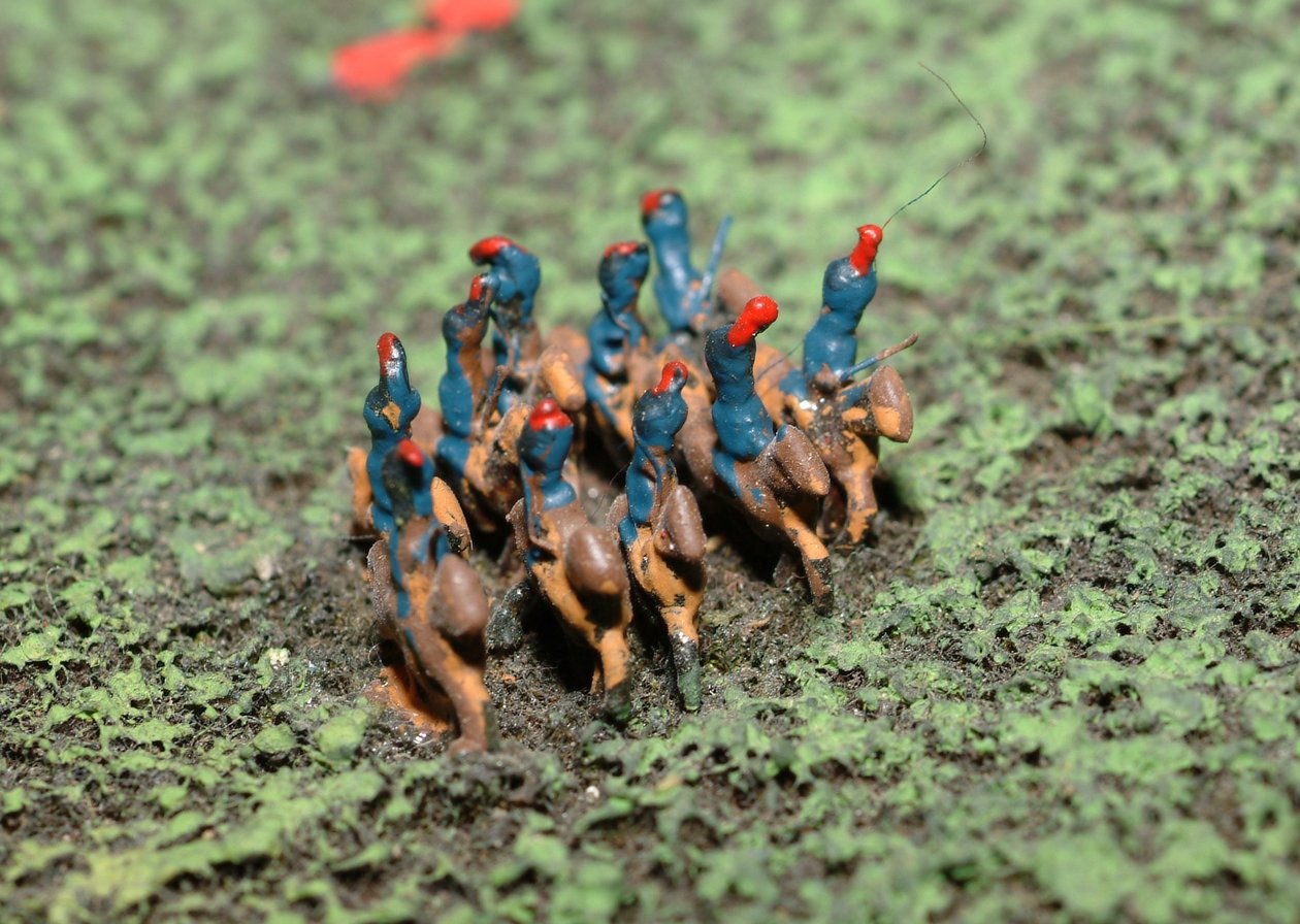 Diorama de la Bataille de Waterloo montrant les troupes positionnées à 19h45 le 18 juin 1815 (détail) - Capt. William Siborne