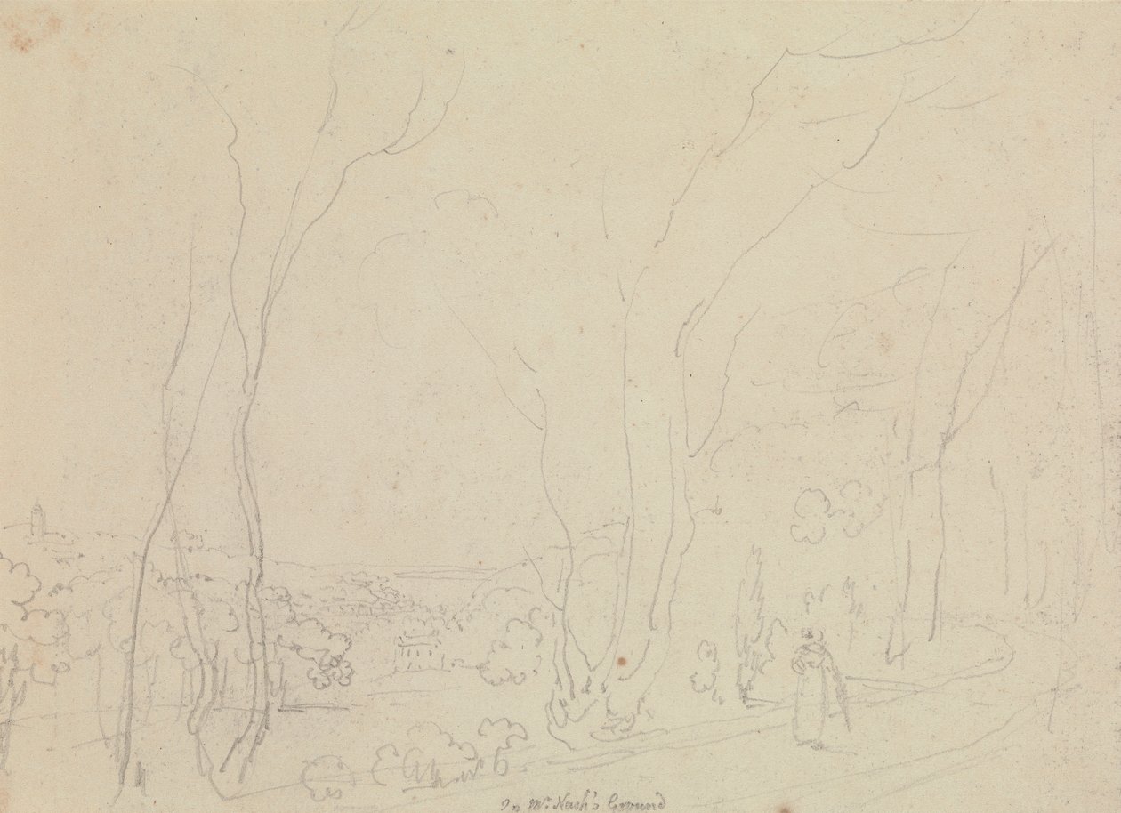 Le terrain de M. Nash - Capt. Thomas Hastings