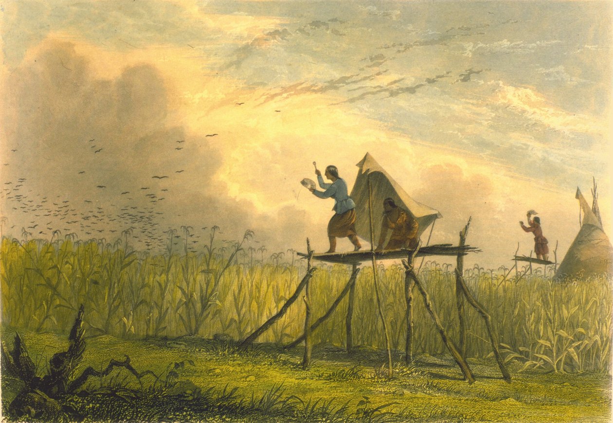 Garder les champs de maïs, 1853 - Captain Seth Eastman