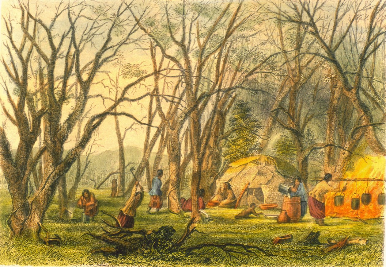 Camp de sucre indien, 1853 - Captain Seth Eastman