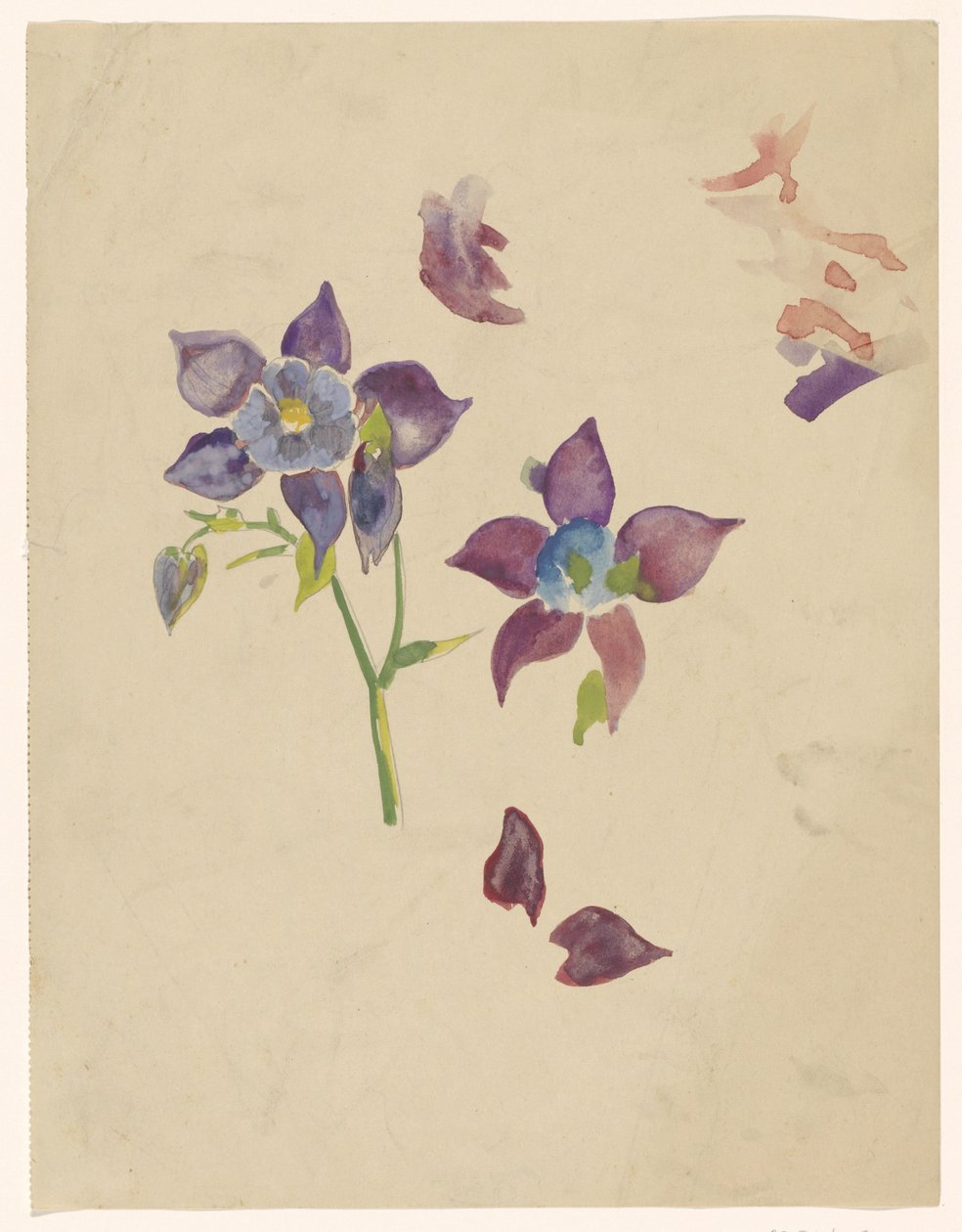 Étude de fleurs - Carel Adolph Lion Cachet