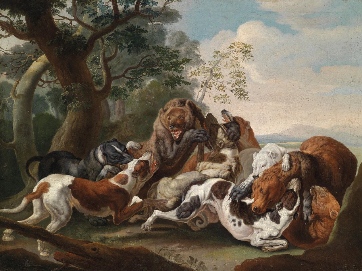 Chasse à l