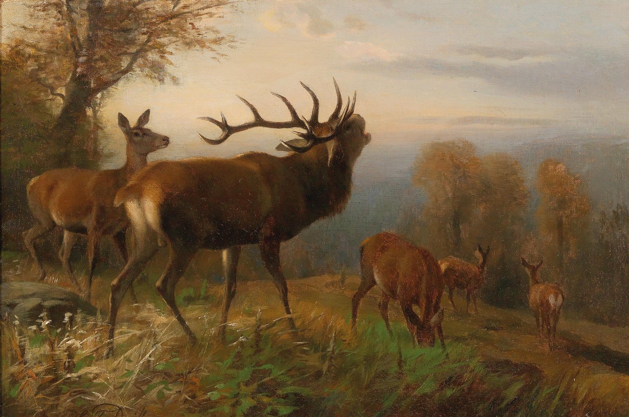 Troupeau de cerfs rouges - Carl Friedrich Deiker