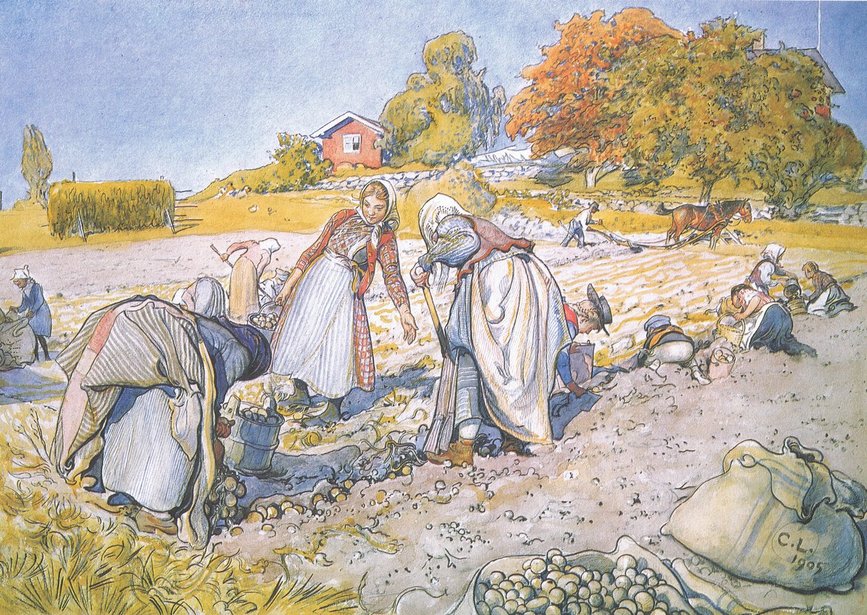 Les enfants remplissaient les seaux et les paniers de pommes de terre - Carl Larsson