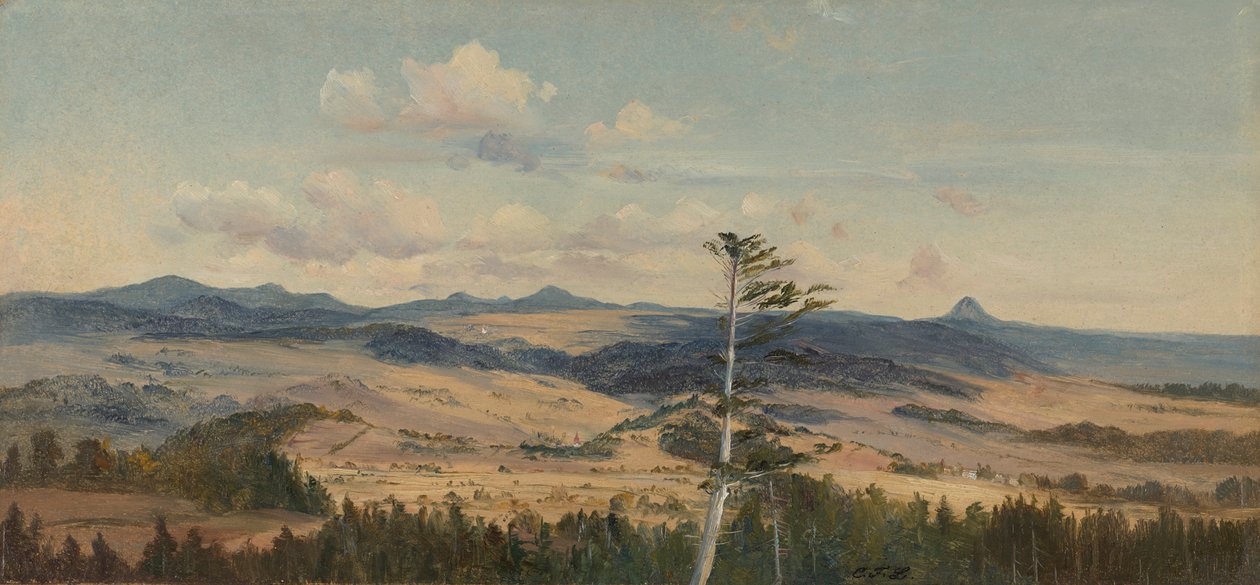 Paysage de l