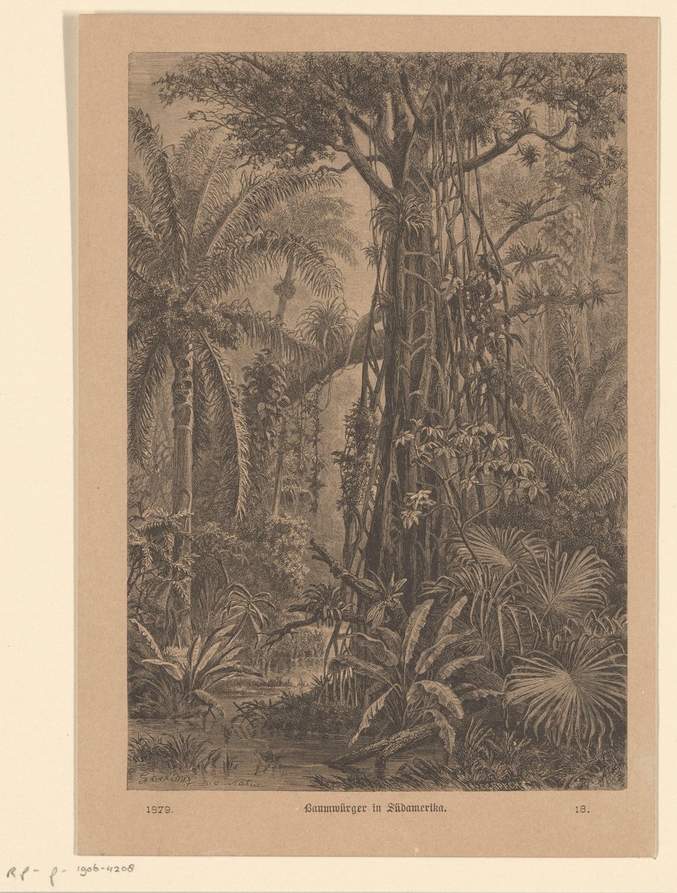 Paysage forestier - Carl Gottlob Specht