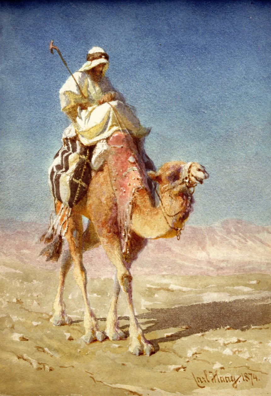 Un Bédouin sur le dos d