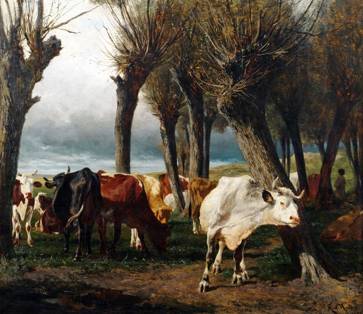 French : Troupeau de bovins sous les saules têtards. - Carl Rudolf Huber