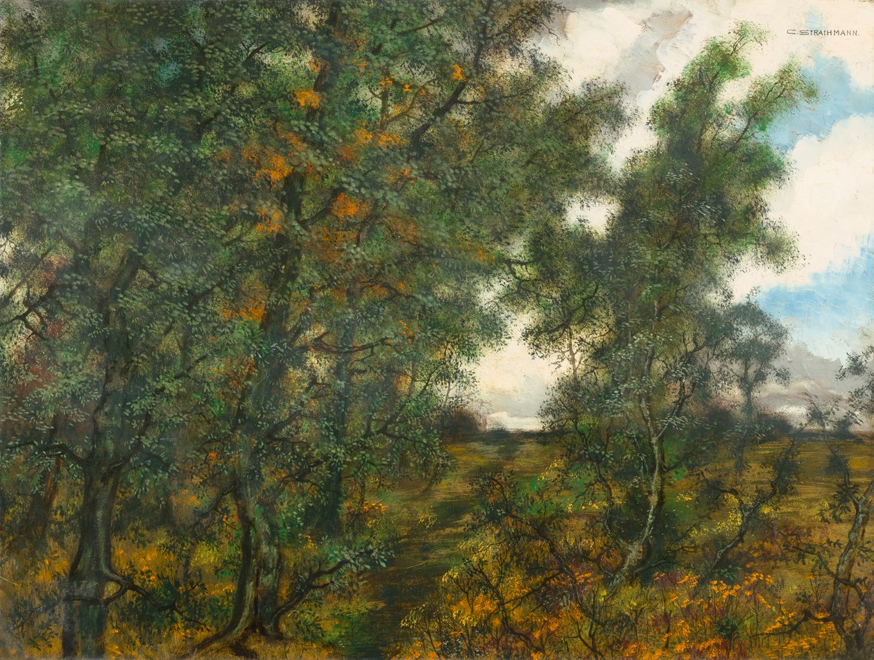 Au bord de la forêt - Carl Strathmann
