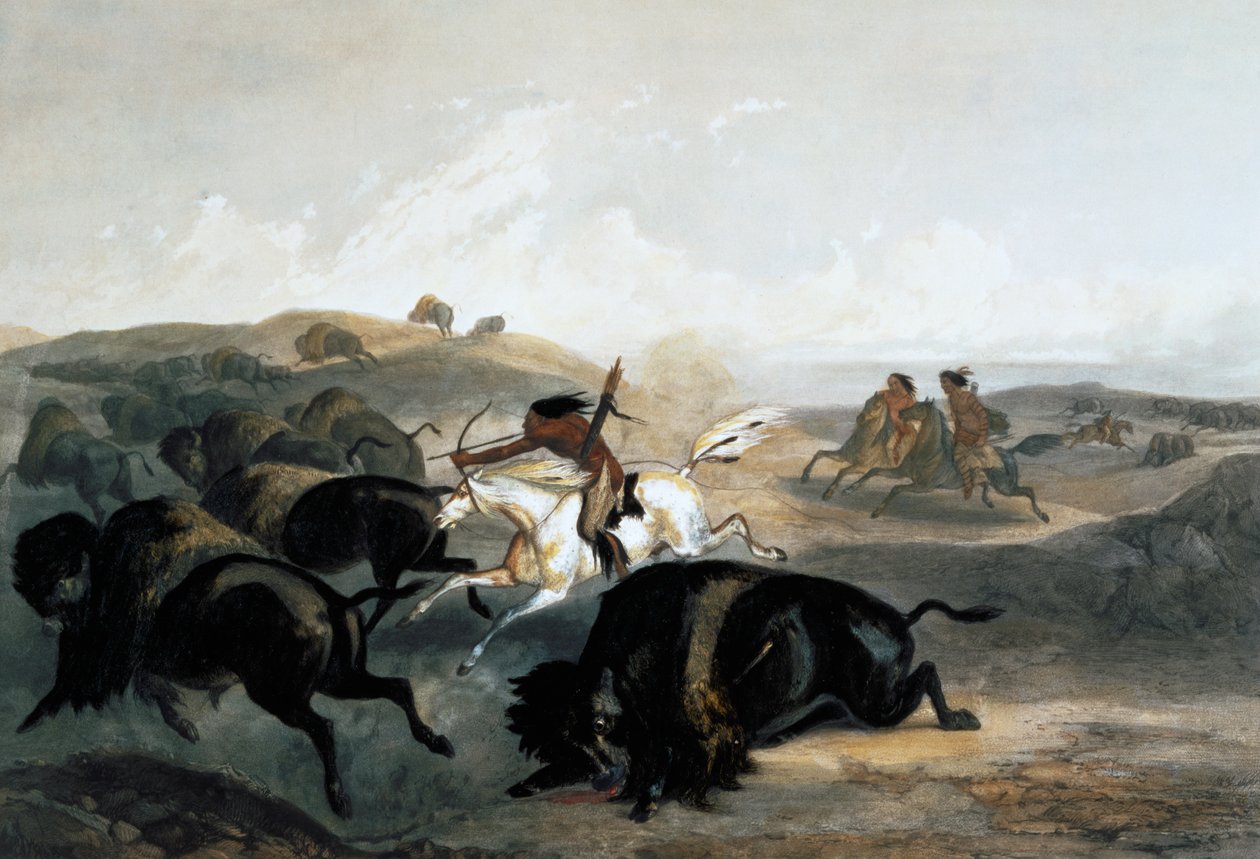 Indiens chassant le bison - Carl Vogel