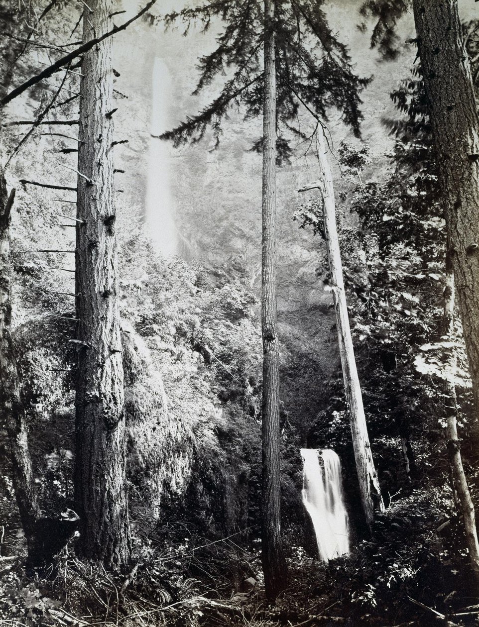 Chutes de Multnomah, Cascades, Rivière Columbia - Carleton E. Watkins