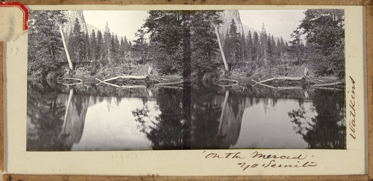 Sur la Merced, Yosemite - Carleton E. Watkins