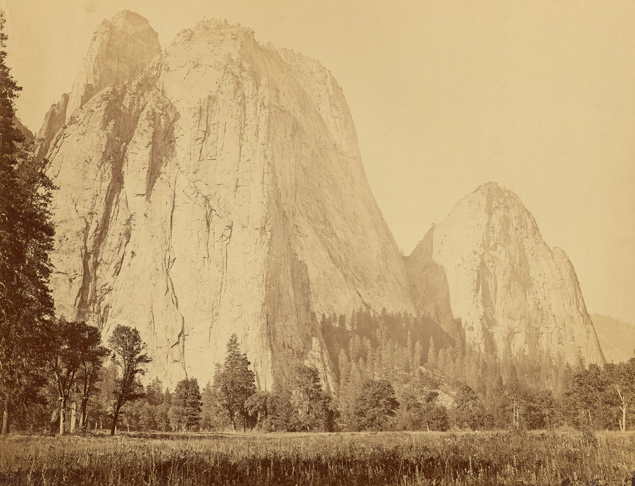 [Cathedral Rocks, 2600 pieds d