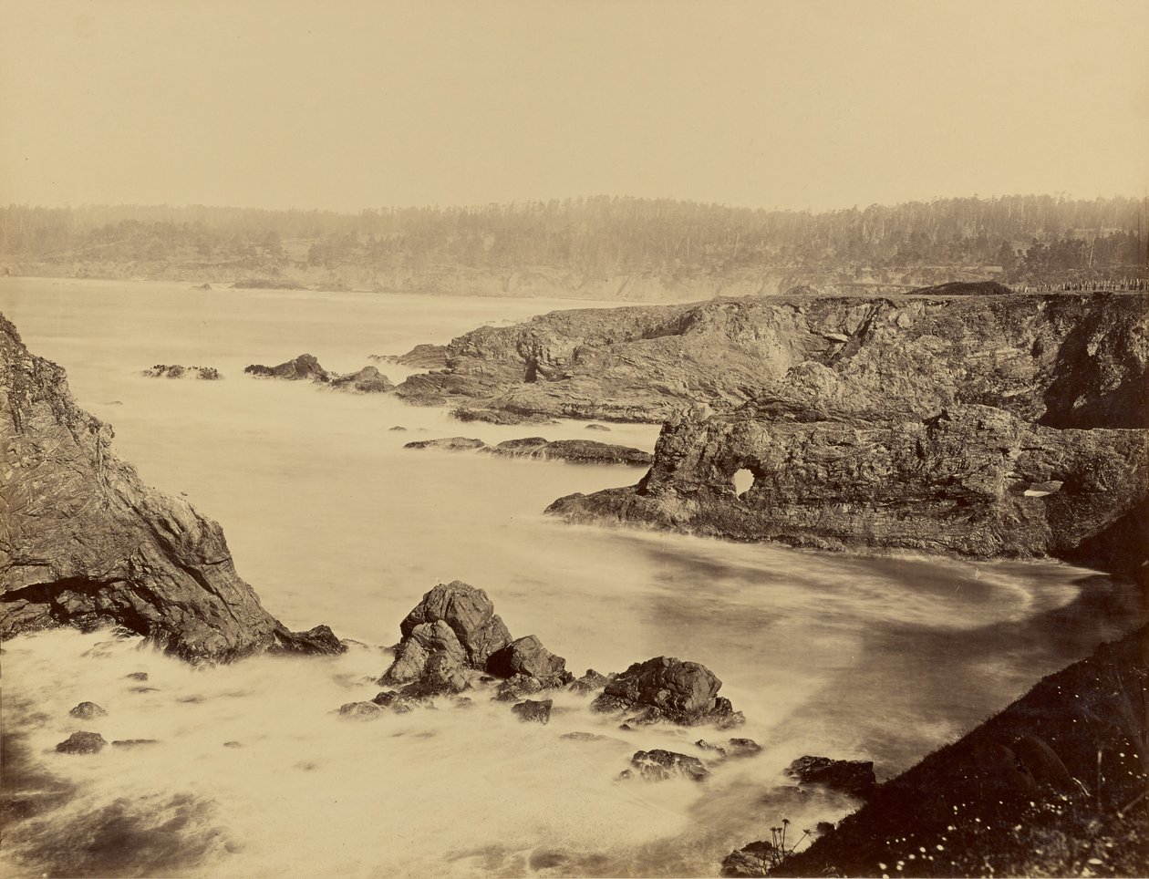 [Vue de la côte de Mendocino] - Carleton Watkins