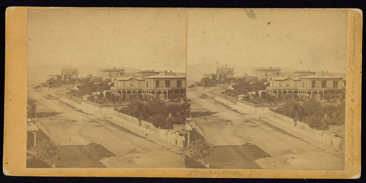 Rue Harrison - Carleton Watkins