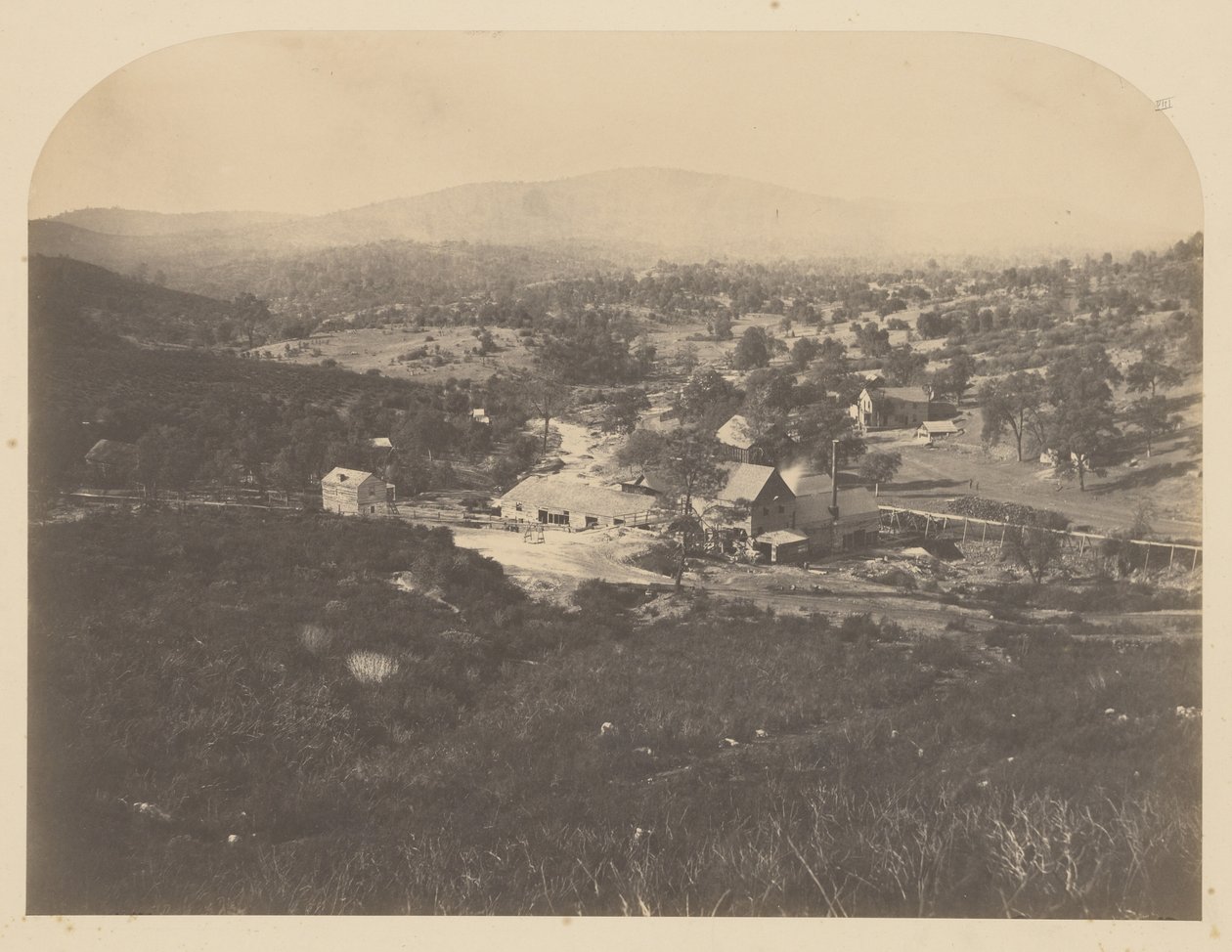 [Mont Ophir - Nord] - Carleton Watkins
