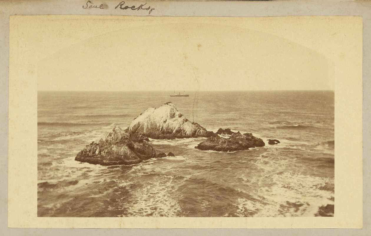 Seal Rocks. - Carleton Watkins