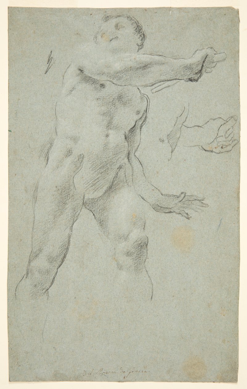 Nu masculin - Carlo Bononi