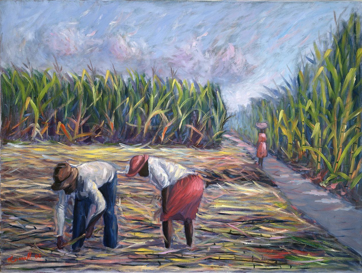 Récolte de canne à sucre - Carlton Murrell