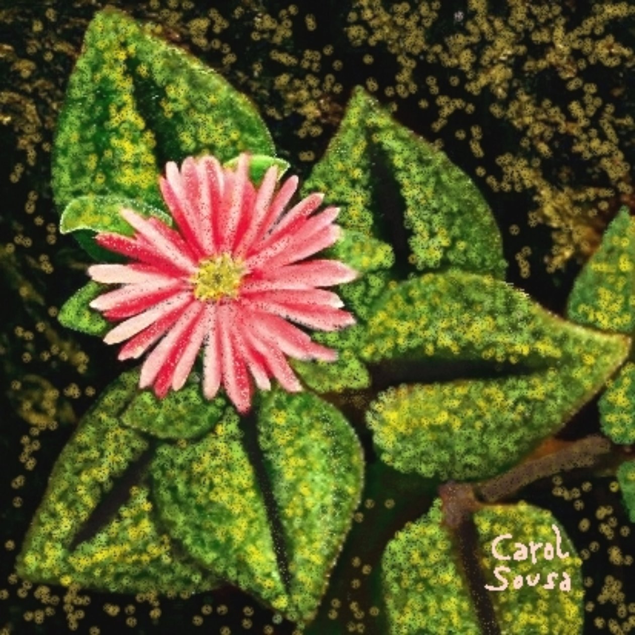 Fleur sauvage - Carol Sousa Cuello