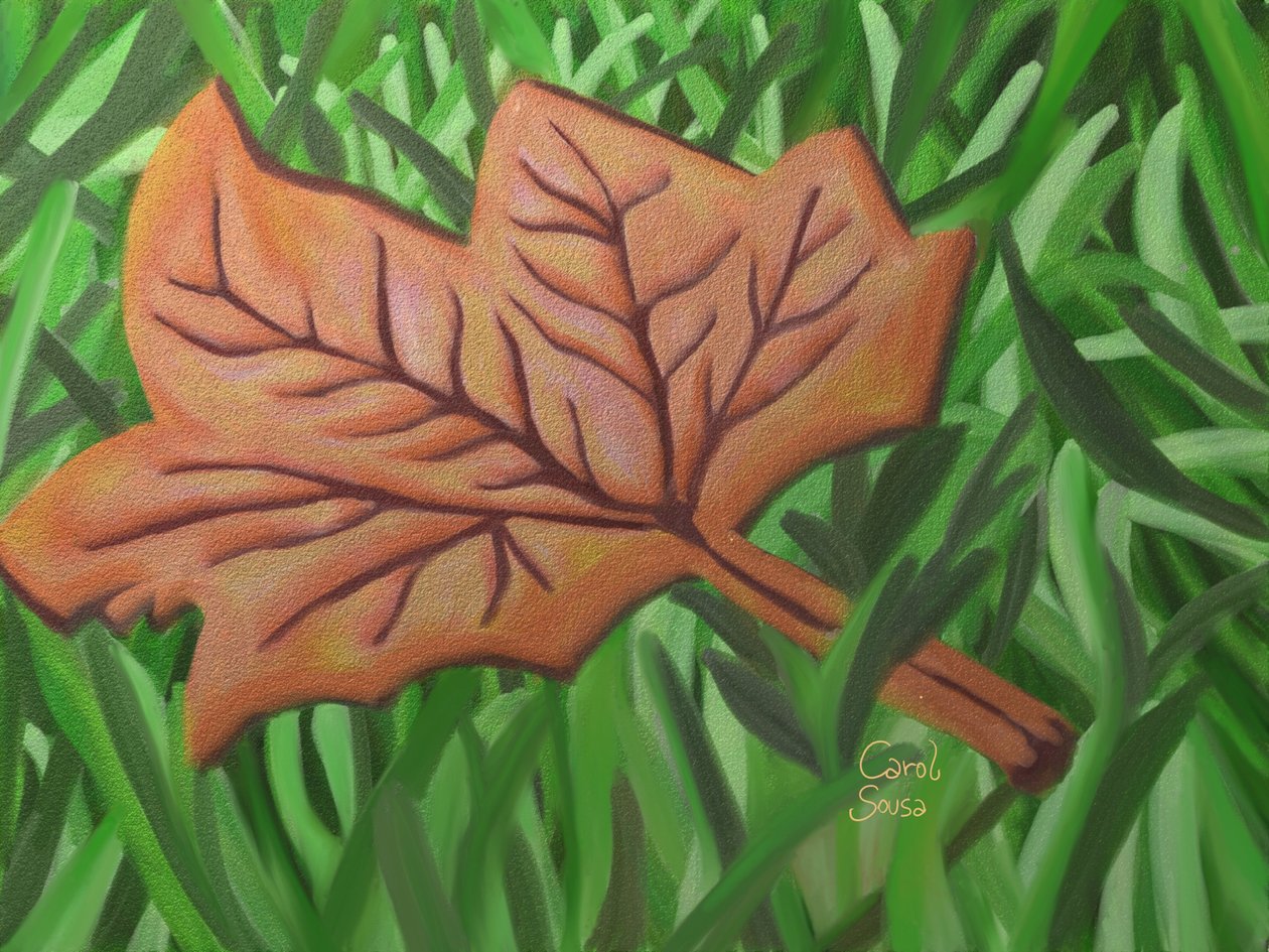 Feuille d