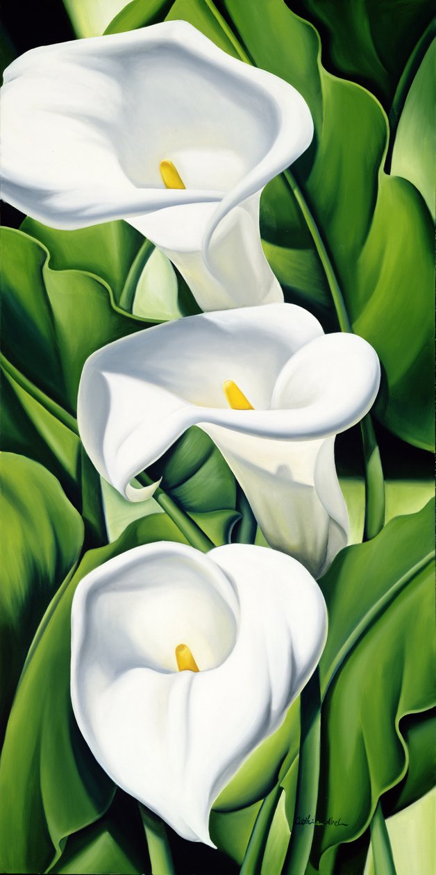 Lys - Catherine Abel