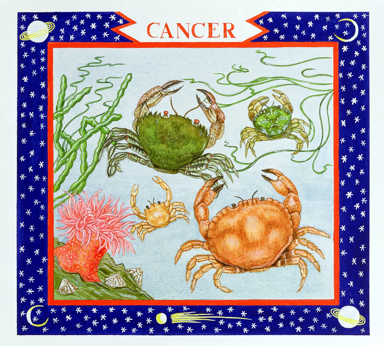 Cancer - Catherine Bradbury