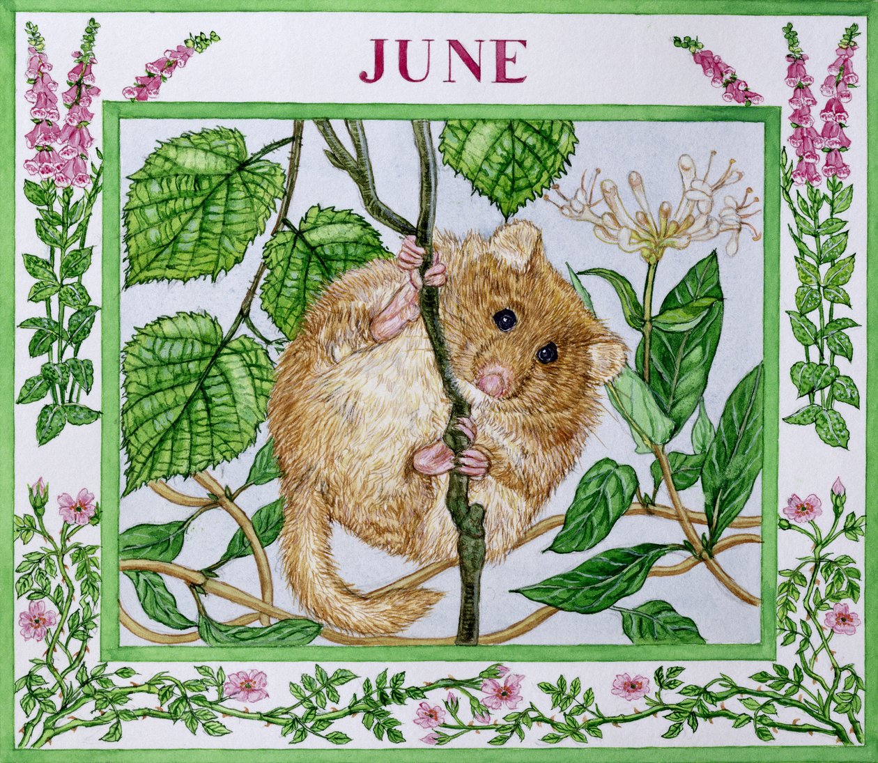 Juin - Catherine Bradbury