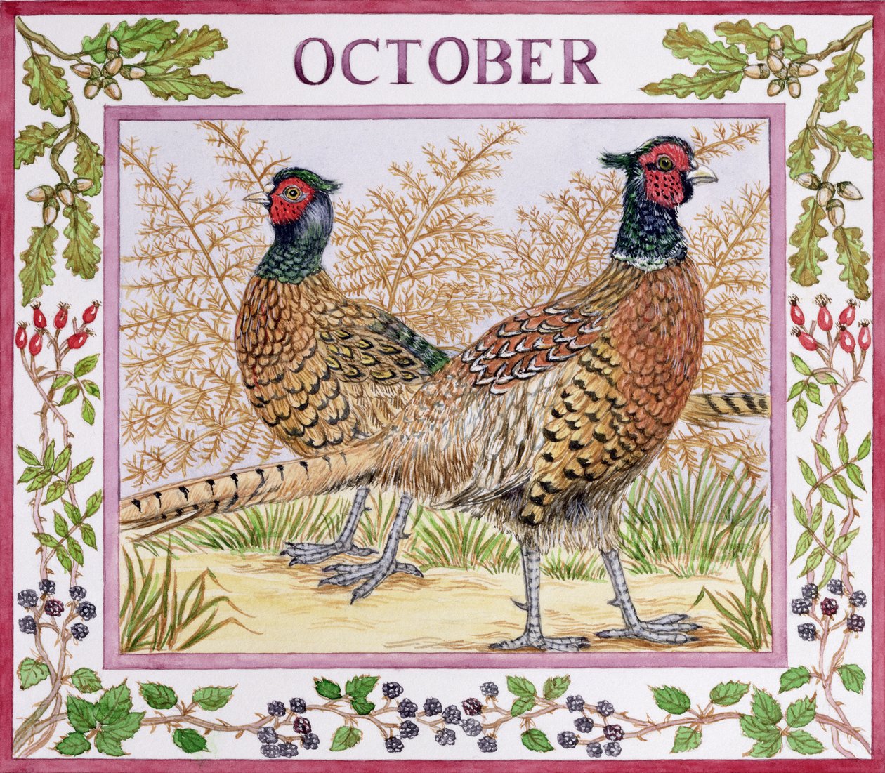 Octobre - Catherine Bradbury