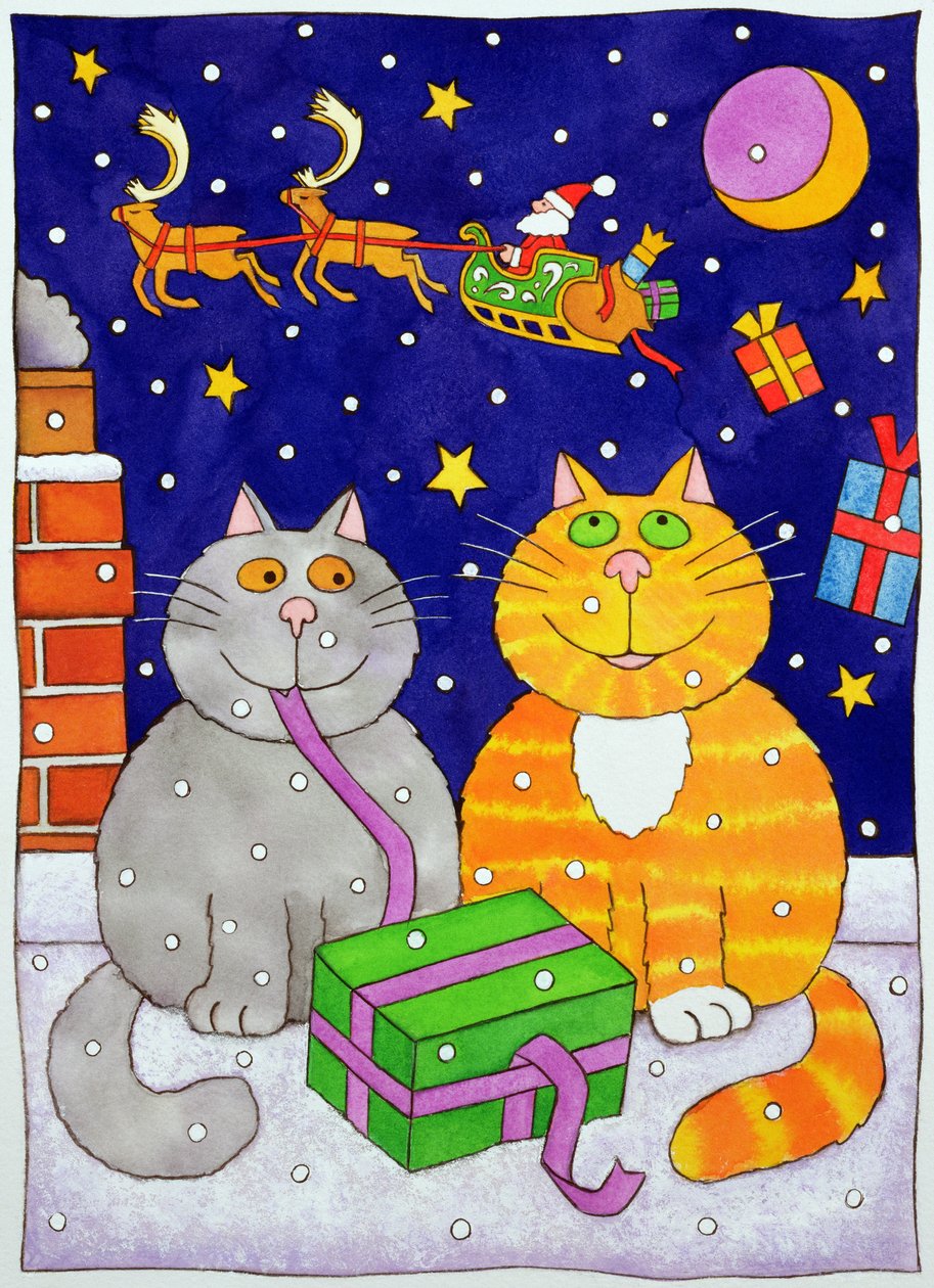 Surprise de Noël - Cathy Baxter