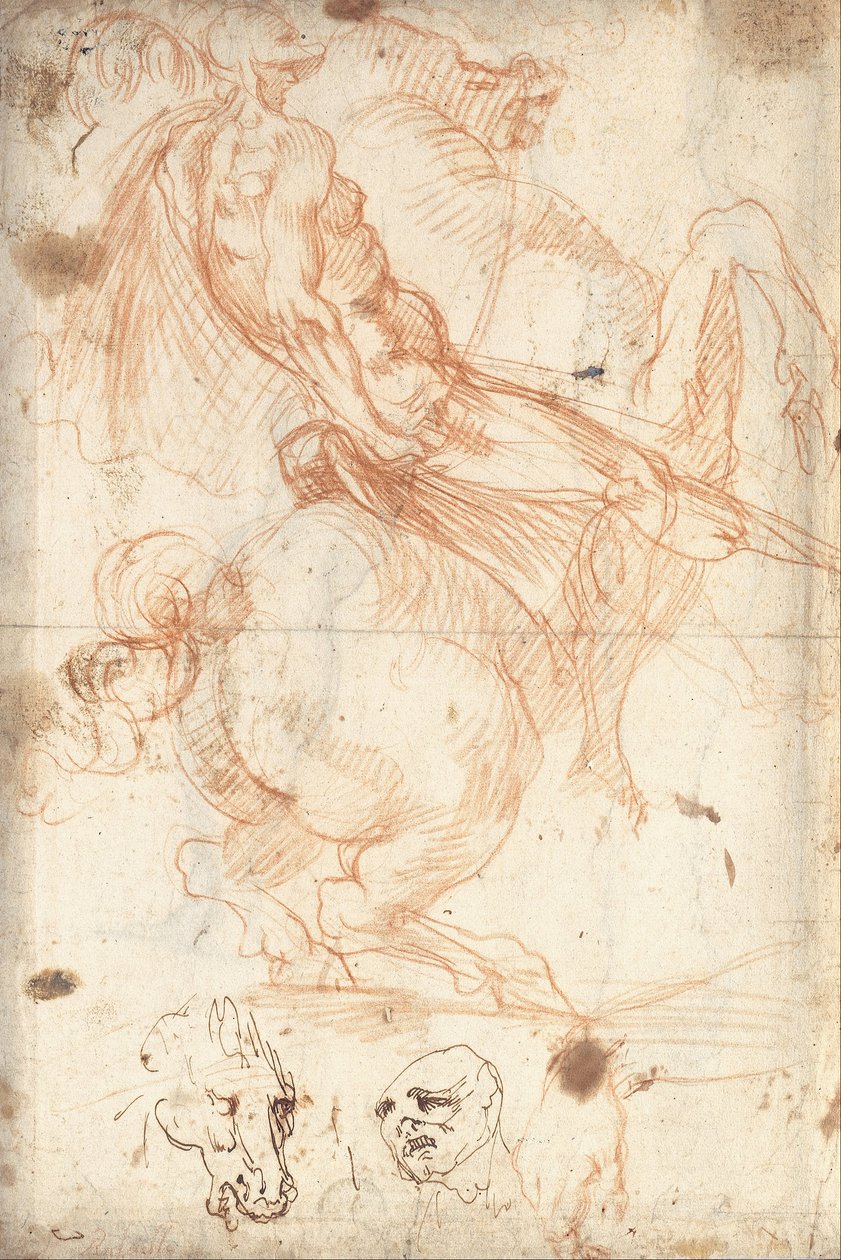 Étude équestre - Cavalier d’Arpino