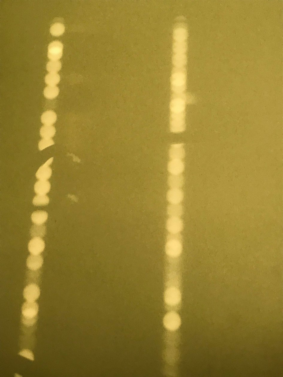 Composition - Light, 2019 (photo) - Cécile Jamet