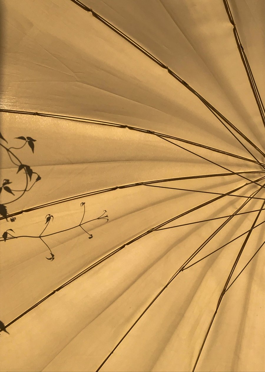 Composition - Lights, 2020 (photo) - Cécile Jamet