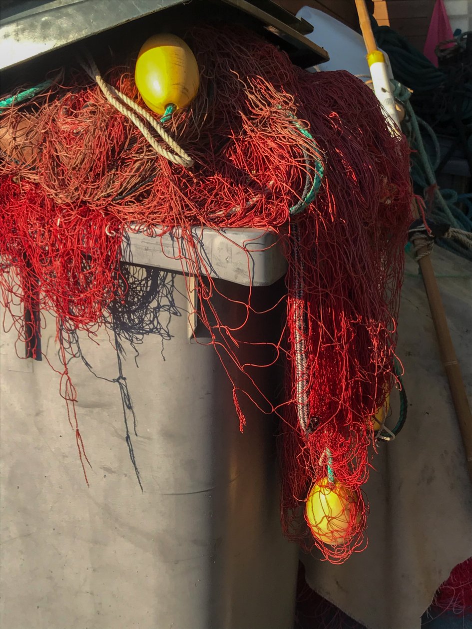 Composition - Nets, 2019 (photo) - Cécile Jamet