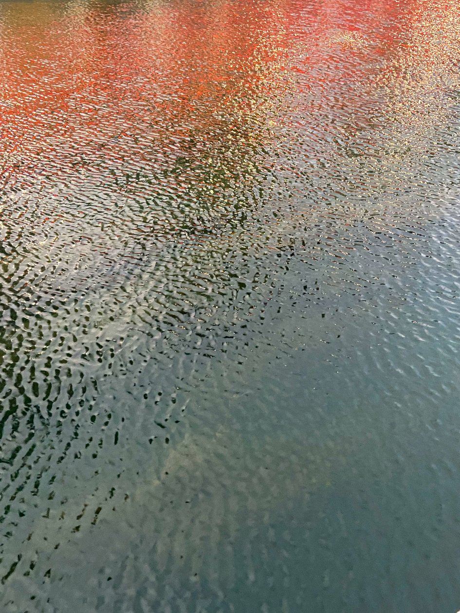 Composition - Réflexions, 2022 (photo) - Cécile Jamet