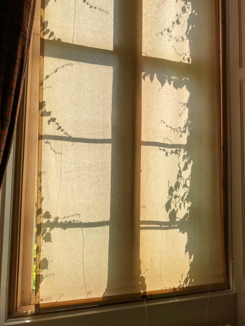 Composition - Shadows, 2021 (photo) - Cécile Jamet