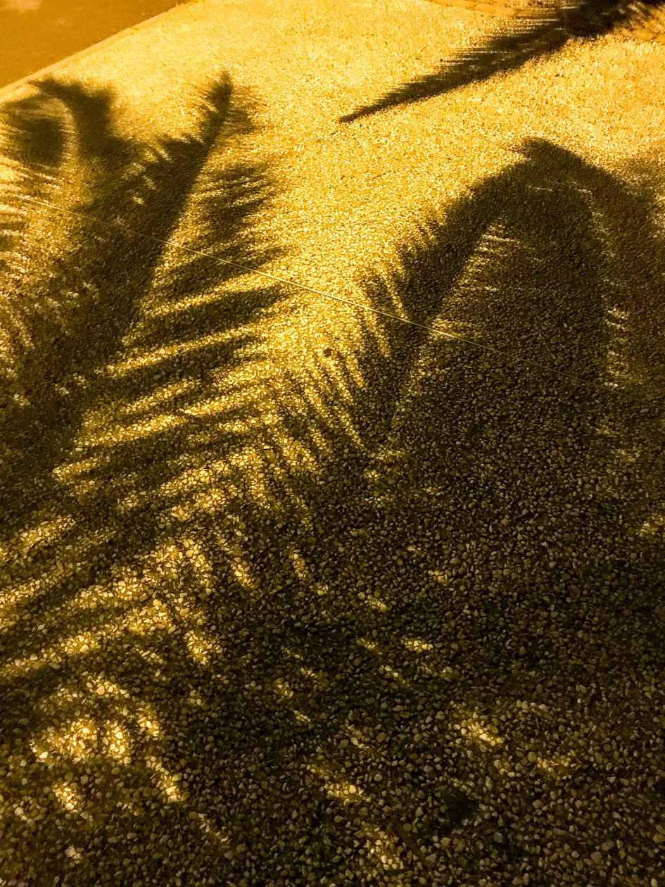 Composition - Shadows, 2021 (photo) - Cécile Jamet