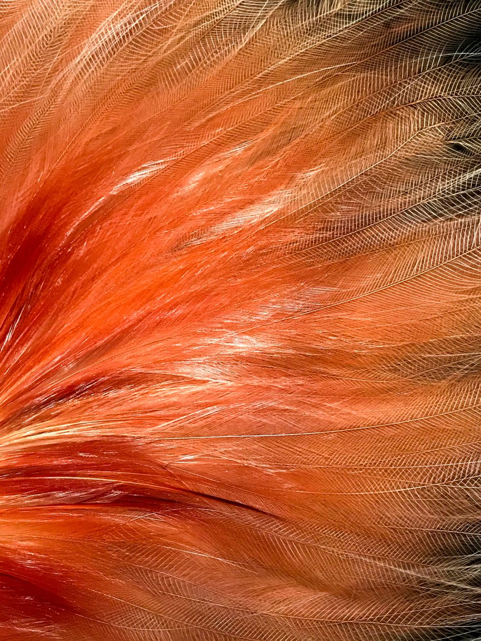 Composition - Texture, 2019 (photo) - Cécile Jamet