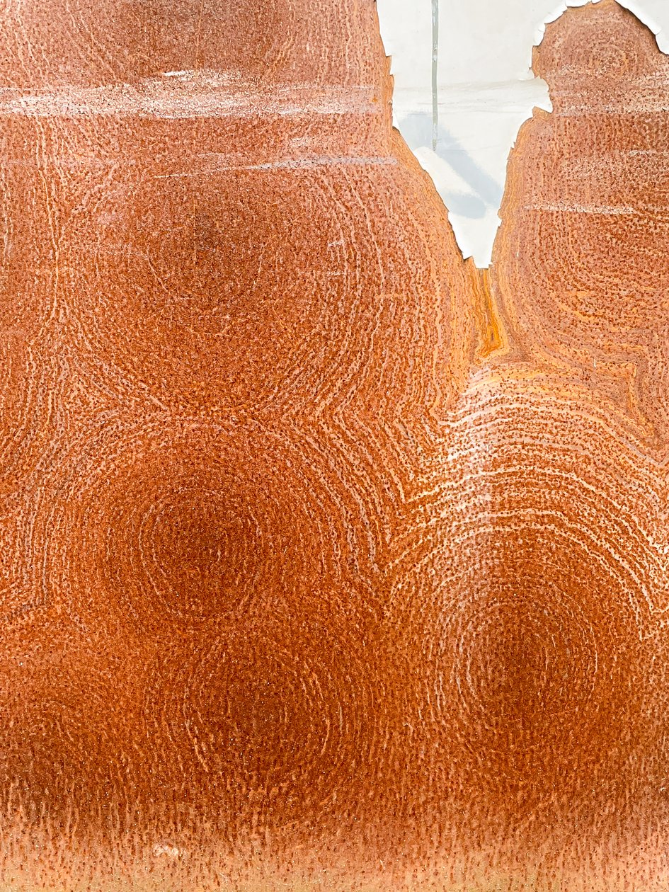 Composition - Texture, 2023 (photo) - Cécile Jamet