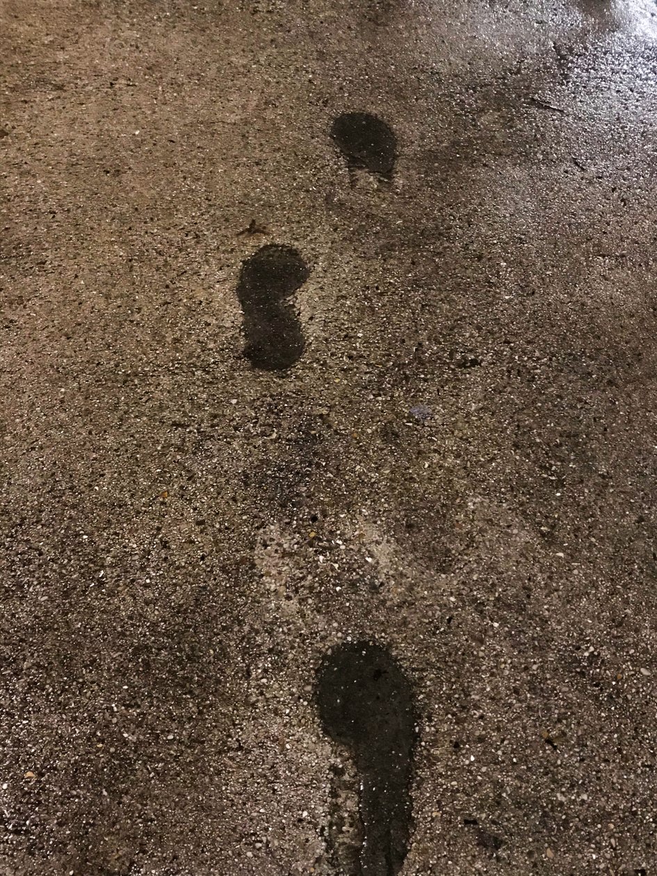Composition, 2021 (photo) - Cécile Jamet