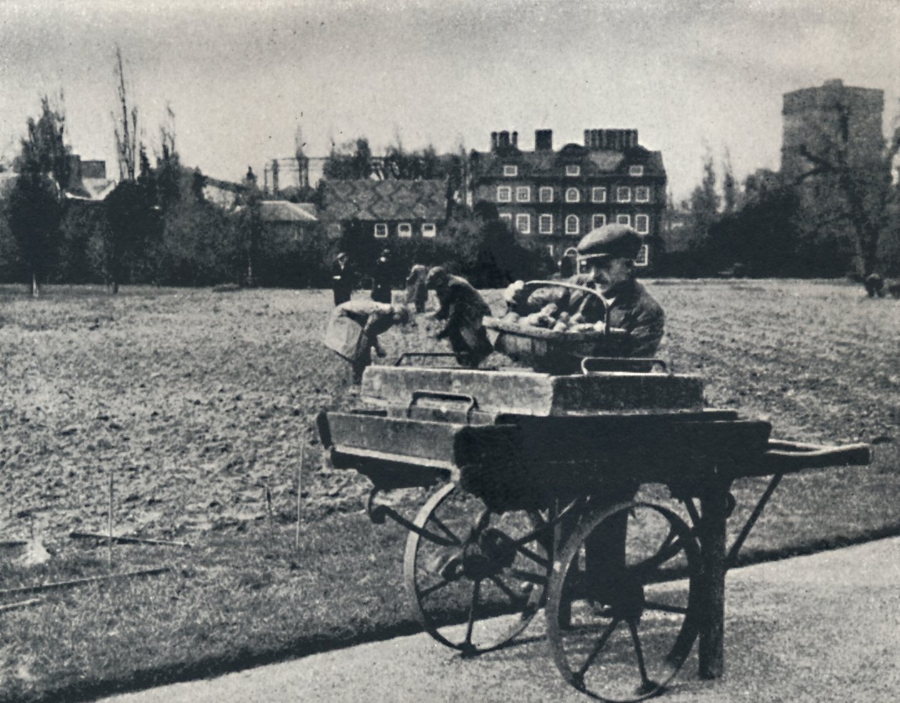Pommes de terre dans les jardins de Kew, 1941 - Cecil Beaton