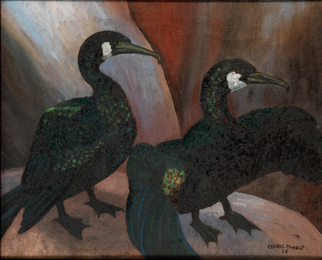 Cormorans verts - Cedric Morris