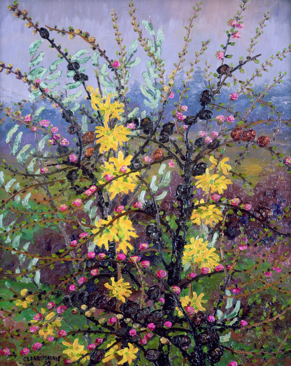 Arbustes - Cedric Morris