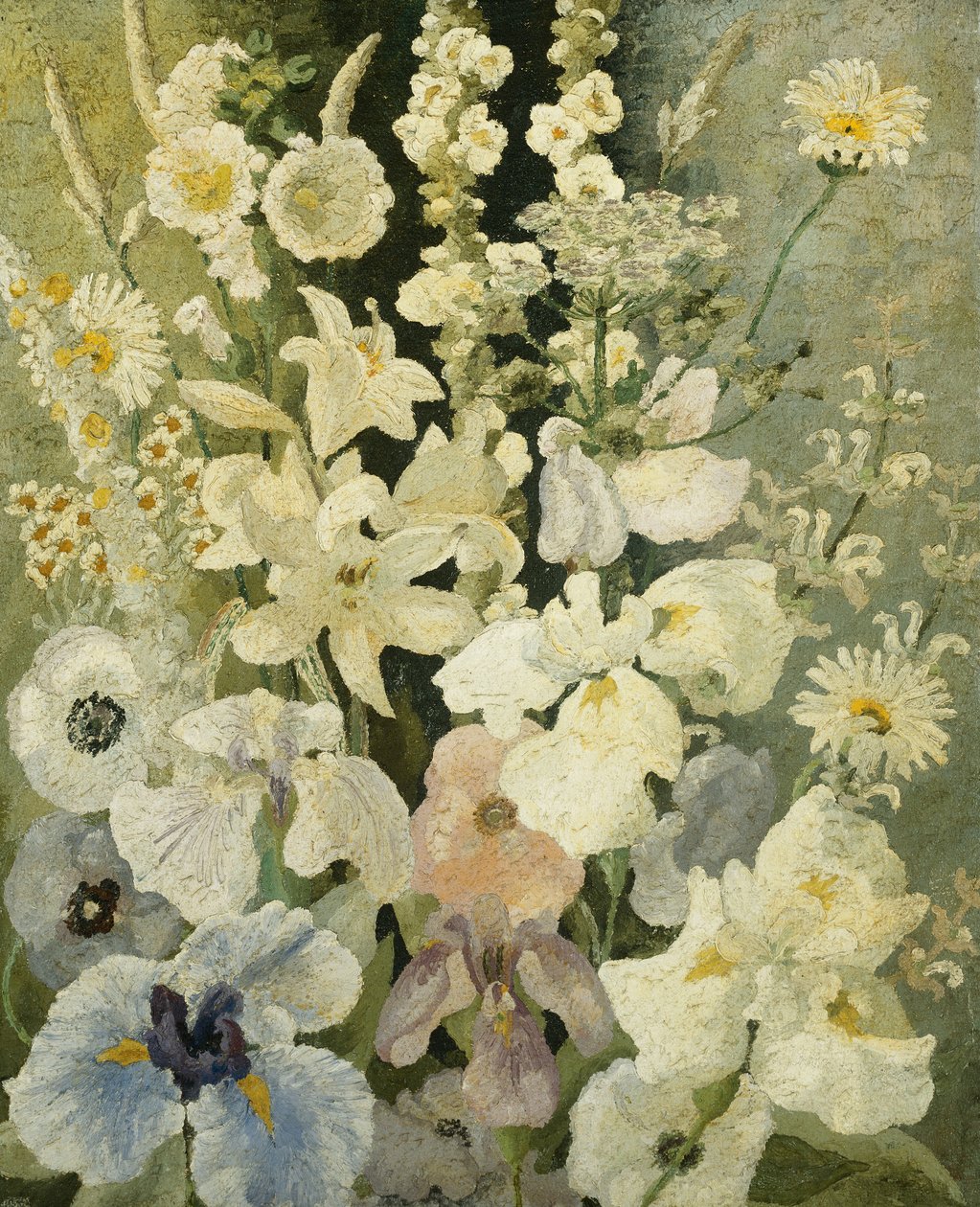 Fleurs Blanches - Cedric Morris
