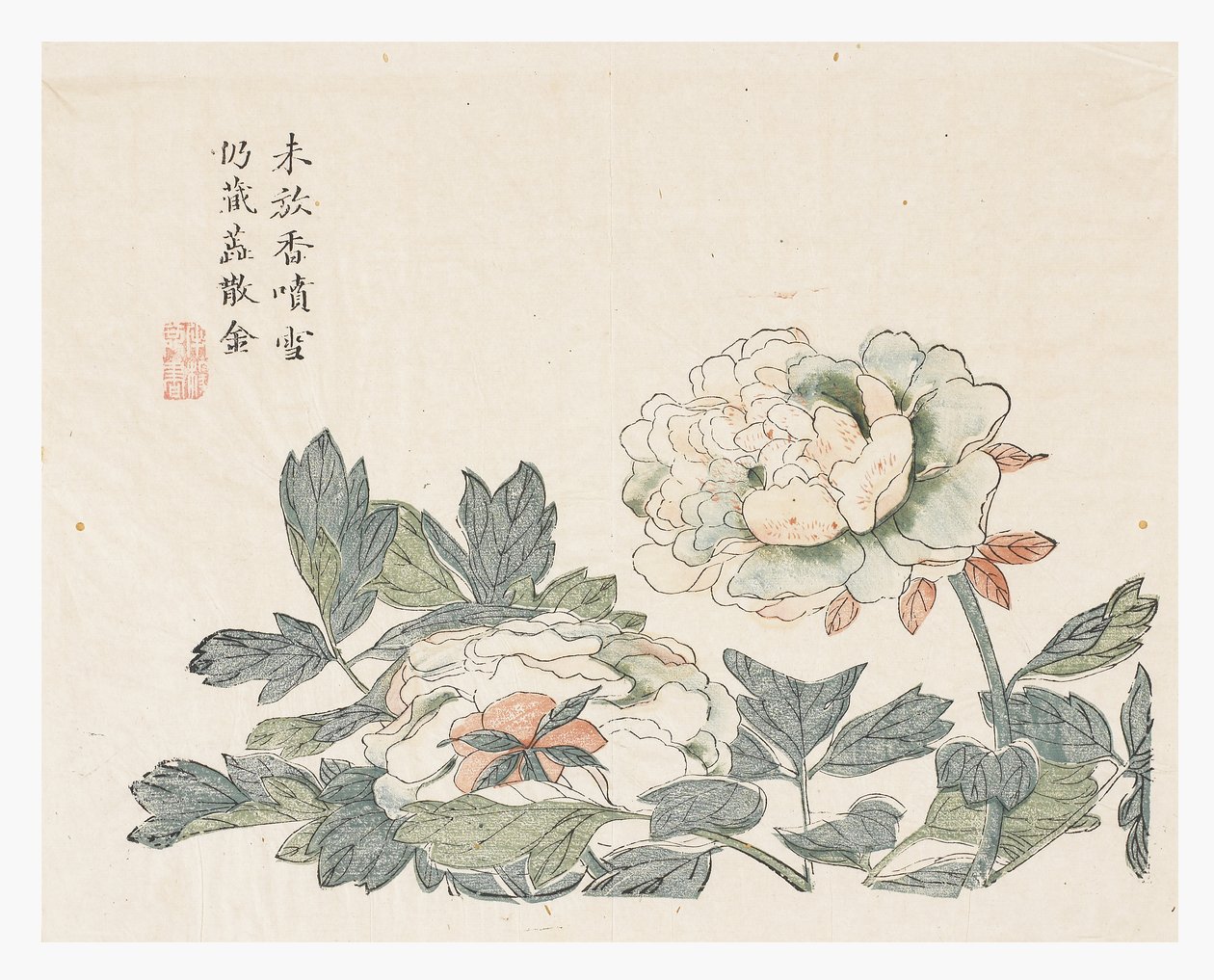 Jardin de graines de moutarde - Chang Chao