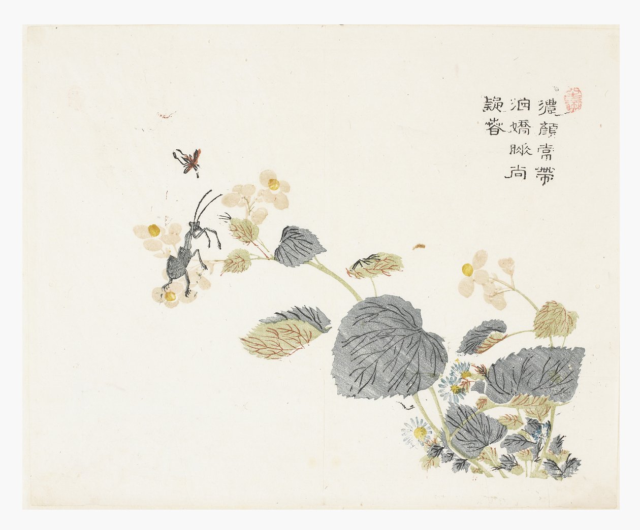 Jardin de graines de moutarde - Chao Mon Yu