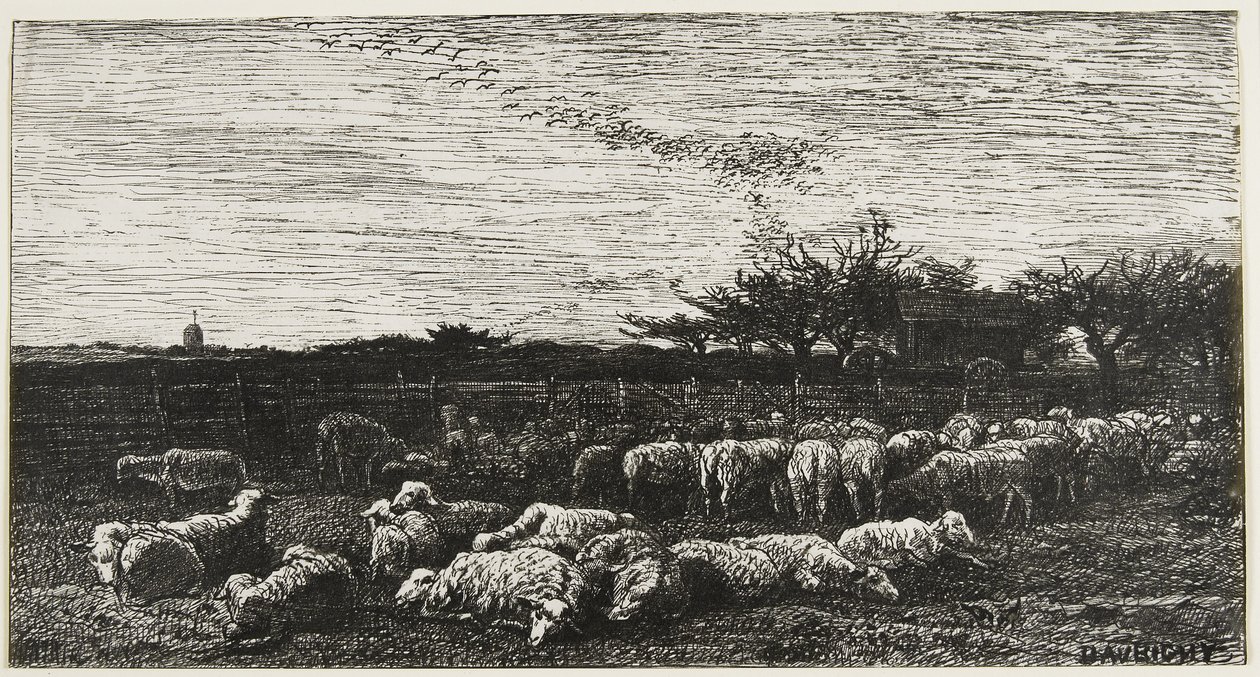 Le Grand Parc à Moutons, 1862 - Charles Francois Daubigny